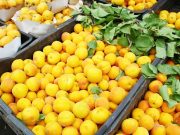 Batna : Production prévisionnelle de plus de 229.000 qx d’abricots