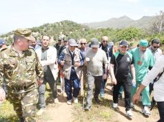 Feux de forêts : Mise en œuvre du dispositif de prévention et de lutte à Relizane