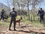 Exercice de simulation d’extinction d’un incendie à la forêt de Bouhriz (Sidi Bel Abbès) : Le plan ORSEC activé