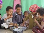 Faute d’aide alimentaire : Des familles yéménites réduites à manger des feuilles