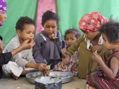 Faute d’aide alimentaire : Des familles yéménites réduites à manger des feuilles