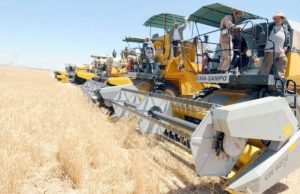 Blida : Préparatifs précoces pour la réussite de la campagne moisson-battage