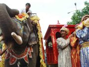 Bollywood : Une campagne pour interdire les éléphants des plateaux de cinéma