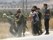 CELLE EXERCÉE PAR LES COLONS EN PALESTINE OCCUPÉE EST UNE ILLUSTRATION PARFAITE : La violence dans le monde en hausse de 130 %