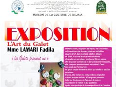 Béjaïa : Inauguration de l’exposition « l’art des galets » de l’artiste Lamari Fadila