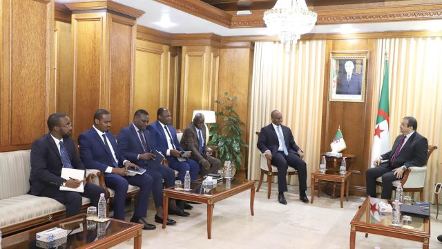 L’Algérie et le Tchad renforcent leur coopération dans le secteur aval