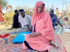 ETAT DU NORD-KORDOFAN AU SOUDAN : Le MAE soudanais condamne le massacre commis par les FSR