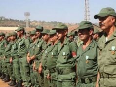 LES FAR, UNE ARMÉE DE DÉSERTEURS ET DE VASSAUX, FACE À L’ANP : Quand le Makhzen compare l’incomparable !