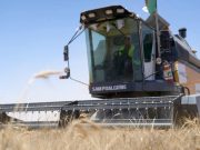 CÉRÉALES : 10 jours pour terminer la récolte