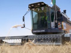 CÉRÉALES : 10 jours pour terminer la récolte