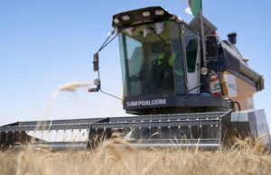 CÉRÉALES : 10 jours pour terminer la récolte