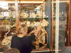 Royaume-Uni : Des musées face au défi du réchauffement