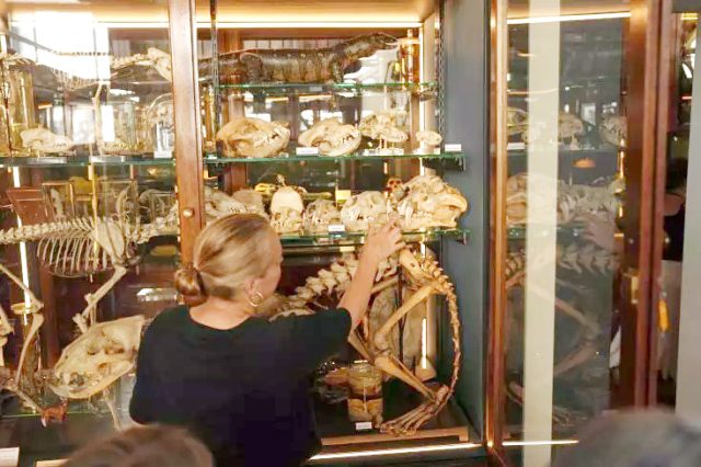 Au Royaume-Uni, des musées face au défi du réchauffement