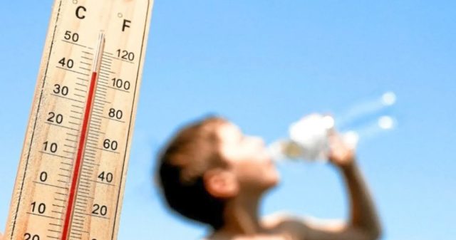 Canicule