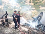 FACE AUX FEUX DE FORÊTS : Prévention, prudence et vigilance