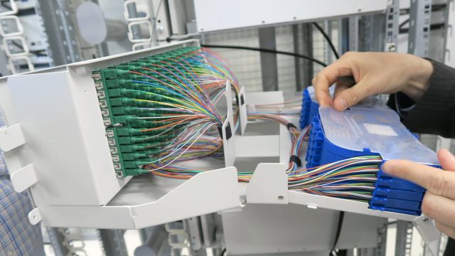 Fibre