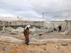 AGRICULTURE, ÉLEVAGE ET PÊCHE : Des filières vitales en ruines à Ghaza
