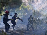 INCENDIES : 80 départs de feu en 24 heures