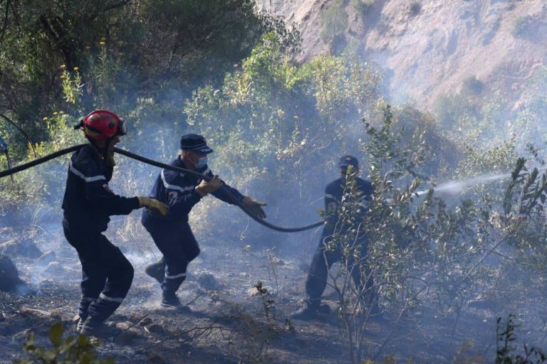 INCENDIES : 80 départs de feu en 24 heures
