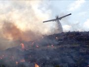 LUTTE CONTRE LES INCENDIES DE FORÊTS : L’ANP prête main forte
