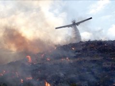 LUTTE CONTRE LES INCENDIES DE FORÊTS : L’ANP prête main forte
