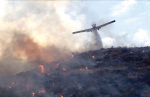 LUTTE CONTRE LES INCENDIES DE FORÊTS : L’ANP prête main forte