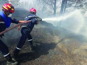 TEBBOUNE RENFORCE L’ARSENAL CONTRE LES INCENDIES : « La vie d’un citoyen vaut plus que 80 millions de dollars »