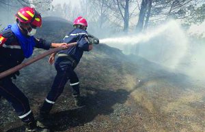 TEBBOUNE RENFORCE L’ARSENAL CONTRE LES INCENDIES : « La vie d’un citoyen vaut plus que 80 millions de dollars »