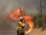 Alors que les feux de forêt se propagent : L’Espagne décrète l’état d’urgence national et sollicite l’aide de l’UE