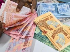 La CEDEAO critiquée sur son projet monétaire : «Le passage à la monnaie de l’Eco ne modifierait pas les mécanismes du franc CFA»