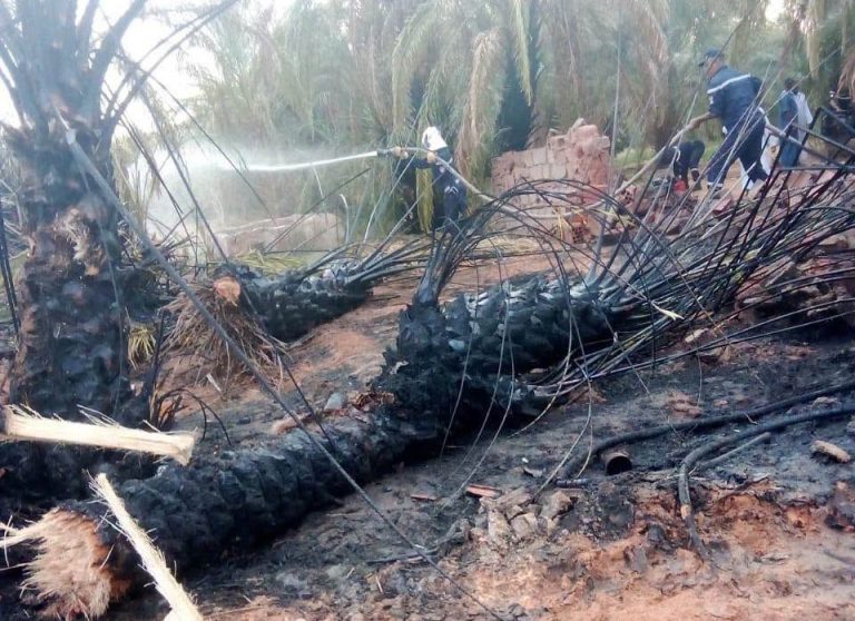 EN VUE D’UNE INDEMNISATION DES SINISTRÉS DES INCENDIES : Les commissions de wilaya commencent à recenser les dégâts