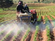 MACHINISME AGRICOLE : Un outil de compétitivité et de souveraineté alimentaire