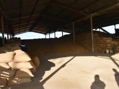 Guelma : Réception d’un nouveau silo de stockage de céréales