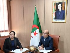 SOFIANE CHAÏB À LA RÉUNION DU MAEP : « L’Algérie engagée à renforcer la coopération africaine »