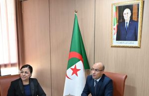 SOFIANE CHAÏB À LA RÉUNION DU MAEP : « L’Algérie engagée à renforcer la coopération africaine »