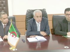 Coopération algéro-tchadienne : Élaboration d’une feuille de route pour le secteur des mines