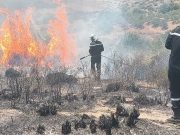 PLUS DE 270 INCENDIES ÉTEINTS À TRAVERS LE PAYS : Les hommes du feu sur le qui-vive