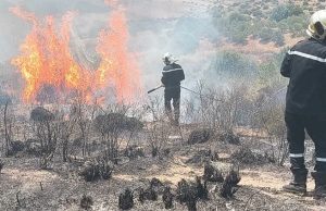 PLUS DE 270 INCENDIES ÉTEINTS À TRAVERS LE PAYS : Les hommes du feu sur le qui-vive