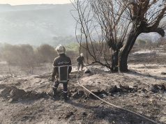 INCENDIES DE FORÊT : 127 feux sur 146 départs maîtrisés