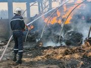 PLACE AU PANSEMENT DES BLESSURES, AU RECENSEMENT DES DÉGÂTS ET À L’INDEMNISATION DES SINISTRÉS : L’Algérie remporte la bataille contre les incendies