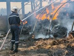 PLACE AU PANSEMENT DES BLESSURES, AU RECENSEMENT DES DÉGÂTS ET À L’INDEMNISATION DES SINISTRÉS : L’Algérie remporte la bataille contre les incendies