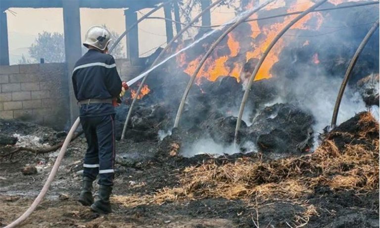 PLACE AU PANSEMENT DES BLESSURES, AU RECENSEMENT DES DÉGÂTS ET À L&rsquo;INDEMNISATION DES SINISTRÉS : L’Algérie remporte la bataille contre les incendies