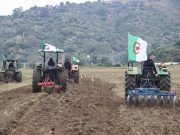 LA PRIORITÉ À L’AGRICULTURE : Investissements italiens en perspective