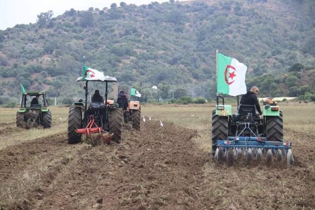 AGRICULTURE