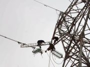 Réhabilitation des réseaux électriques endommagés par les incendies de forêt à Annaba : Sonelgaz déploie les grands moyens