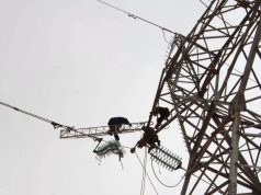 Réhabilitation des réseaux électriques endommagés par les incendies de forêt à Annaba : Sonelgaz déploie les grands moyens