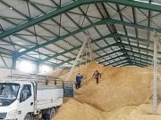 Avec 2 millions de quintaux récoltés : La wilaya de Guelma dépasse ses prévisions céréalières