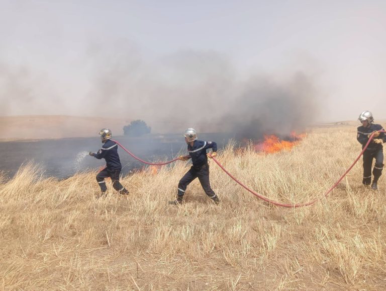 FEUX DE FORÊTS : 64 incendies maîtrisés sur un total recensé de 72