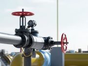 Cet été à cause de la flambée des prix du GNL : Les entreprises européennes renoncent à acheter des cargaisons supplémentaires
