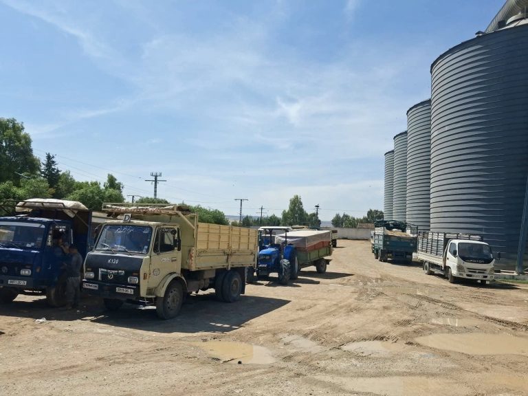 Silo en acier de la commune de Belkheir (Guelma) : Entame des opérations de stockage de céréales